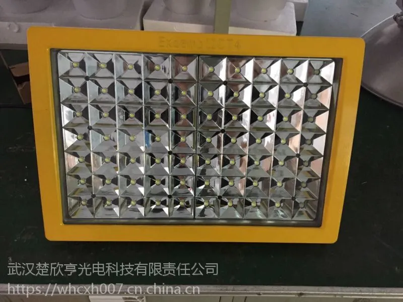 ZL8925-100WLED防爆泛光灯ZL8925 众朗LED防爆灯楚欣亨光电厂家批发