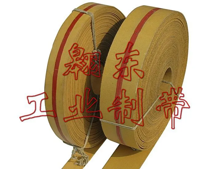 翱东工业带 (6)