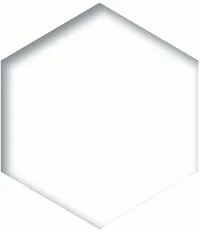 572652331_1084523038