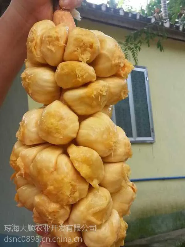��˳ũ�����˳������