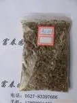 供应景观花卉种子-鸡儿肠,鸡儿肠种子,又名马兰头