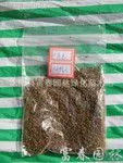 供应护坡绿化植物,水保灌木种子-截叶胡枝子