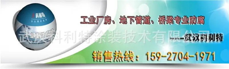 武汉科利特涂装技术有限公司