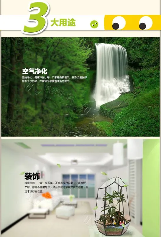 4、小马过河1_01
