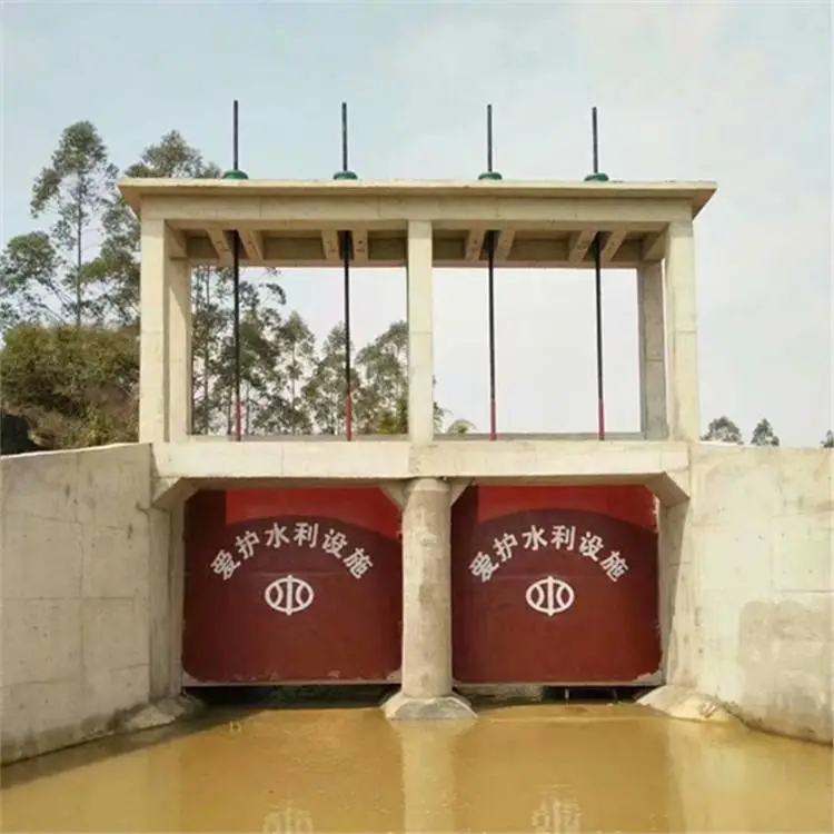节制闸闸门规格型号尺寸