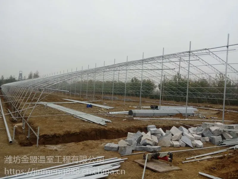 日光温室，日光温室大棚骨架，蔬菜温室大棚价格