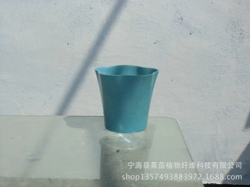 CIMG4241