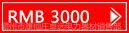 3000