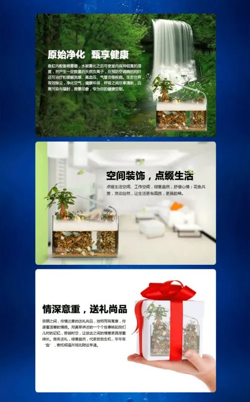 41、阳光姐妹淘(鱼缸)1_02