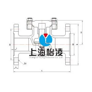 DH41F低温法兰止回阀图纸 DH41F低温法兰止回阀图纸