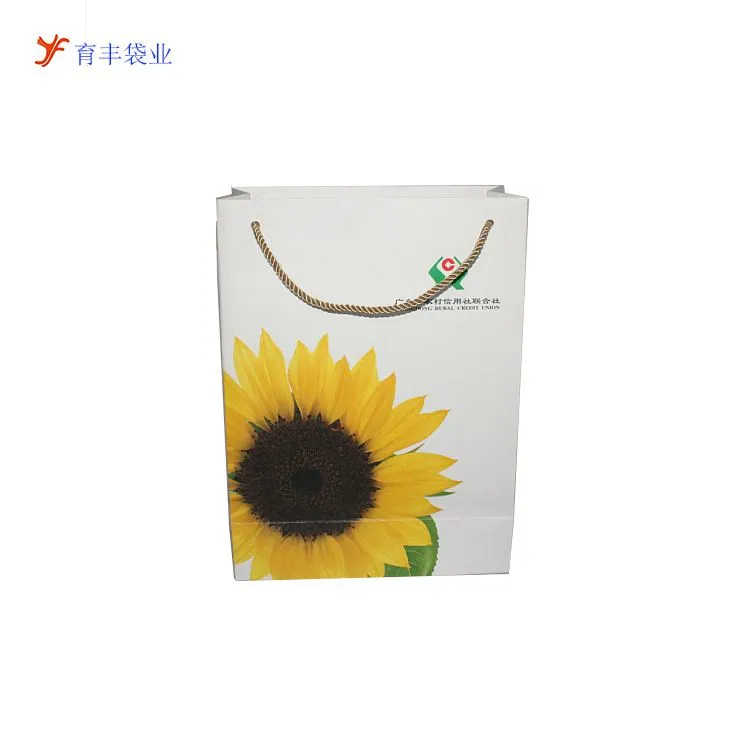 铜版纸袋