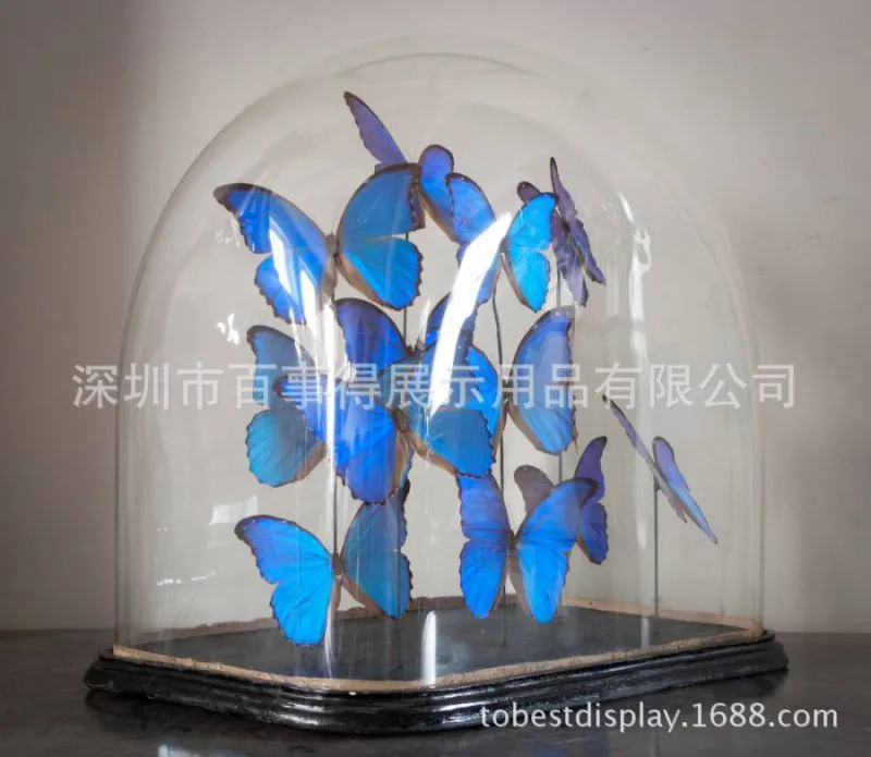 acrylic sphere dome ball