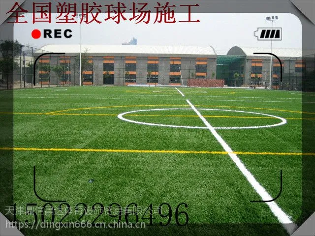 天津人造草坪：鼎信昌达|天津人造草坪材料厂家