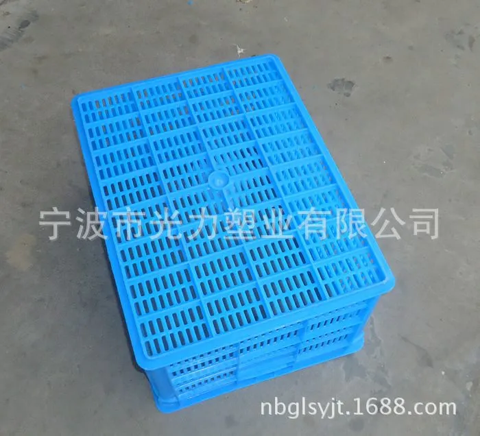 500小蜜萝底