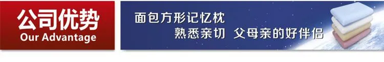 公司优势