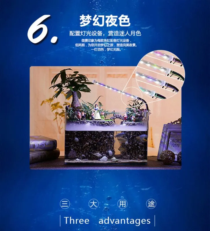 41、阳光姐妹淘(鱼缸)1_01