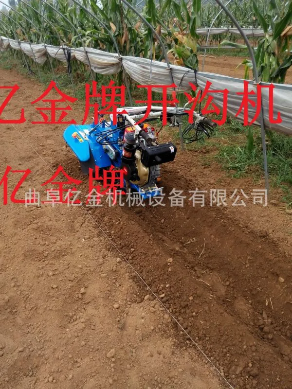 IMG_20140828_094651