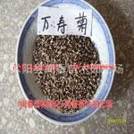 万寿菊种子 万寿菊种子价格 万寿菊新种子(花卉种子发芽率95%)