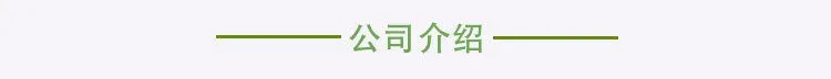 公司介绍