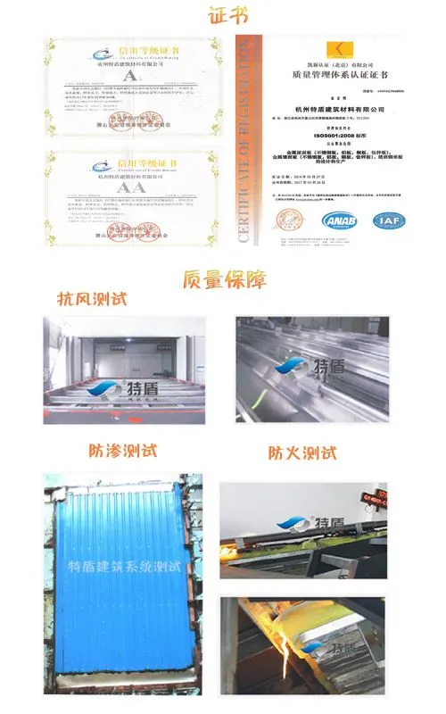 矮立边公司服务与规模1