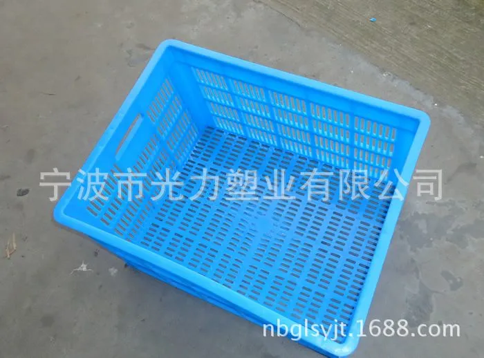 500小蜜萝