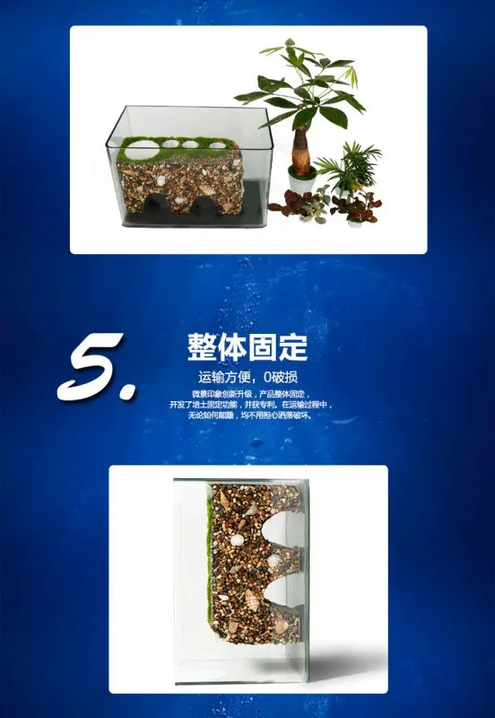 41、阳光姐妹淘(鱼缸)_08