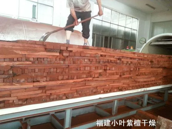 福建紫檀