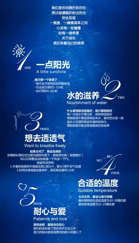 41、阳光姐妹淘(鱼缸)1_06