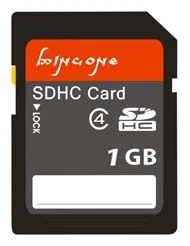 SD1GB002