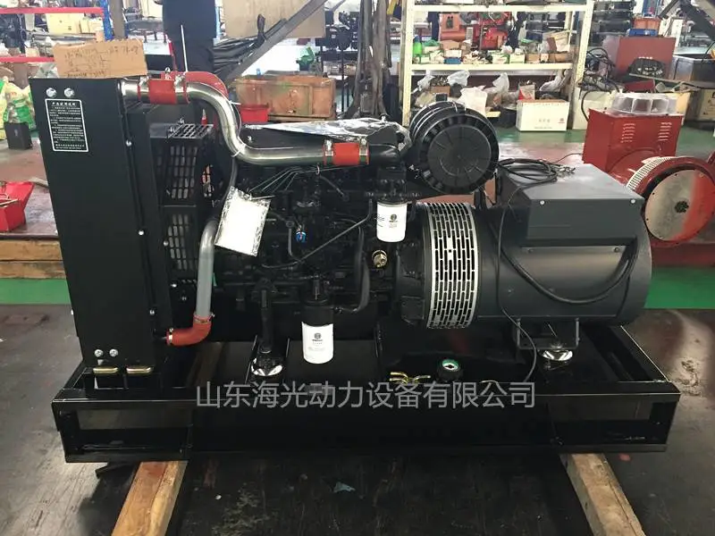WEICHAI/潍柴WP2.3D47E201机械调速柴油机