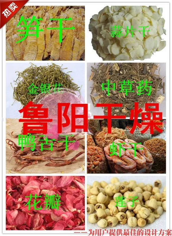 食品_副本