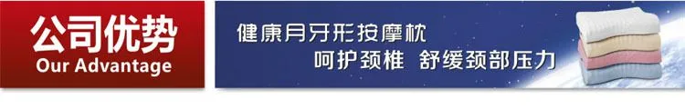 公司优势