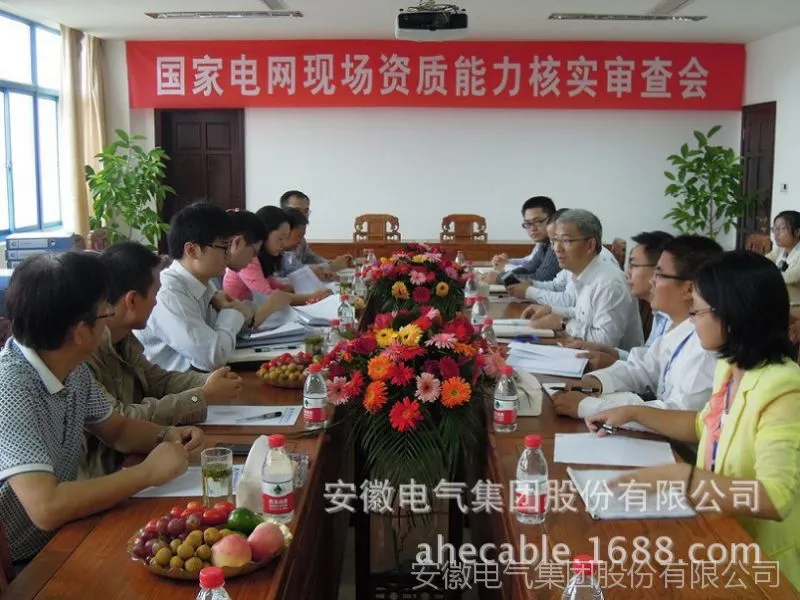 ***审核