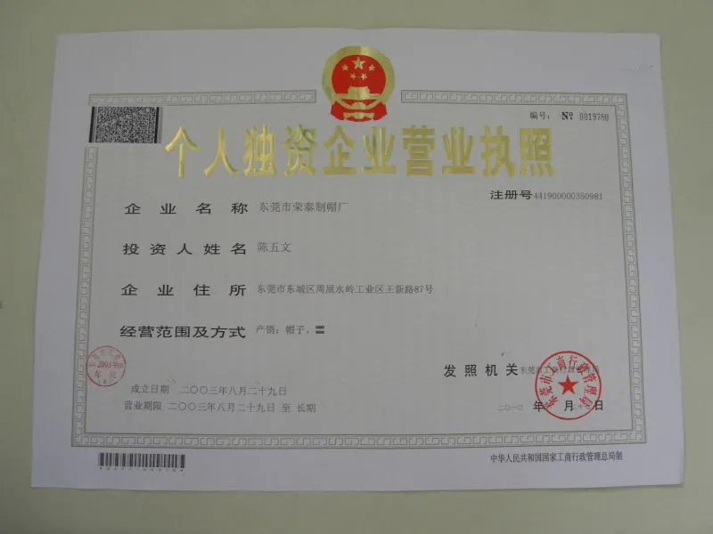 营业执照(正本)