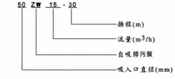 ZW自吸排污泵 ZW自吸排污泵