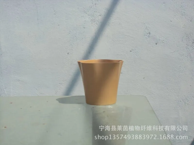CIMG4239