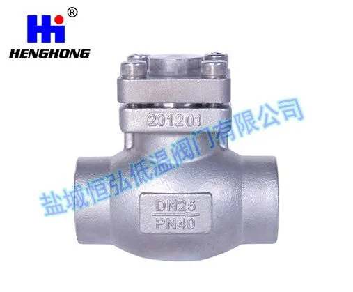 低温止回阀DH61F-40P DN10-50
