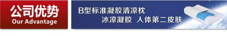 公司优势
