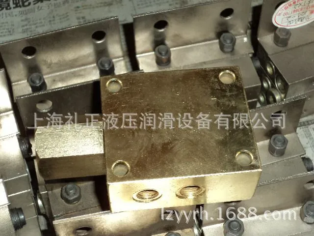 DSC00300