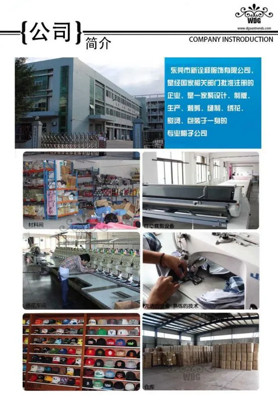 公司介绍