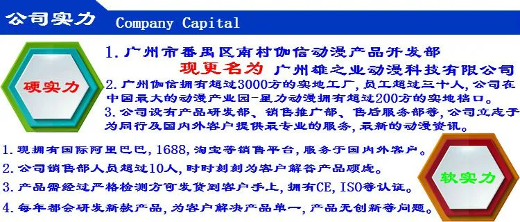 公司实力