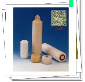10寸聚四氟乙烯膜(PTFE) 折叠筒式滤芯11