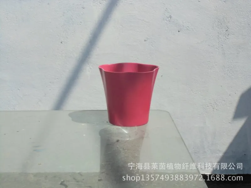 CIMG4243