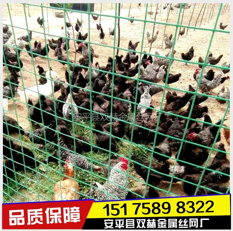 养殖围栏网
