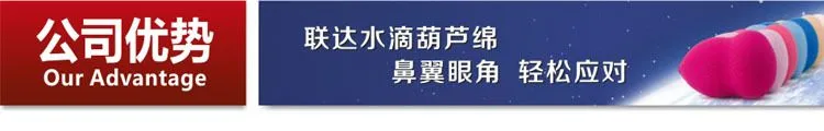 公司优势