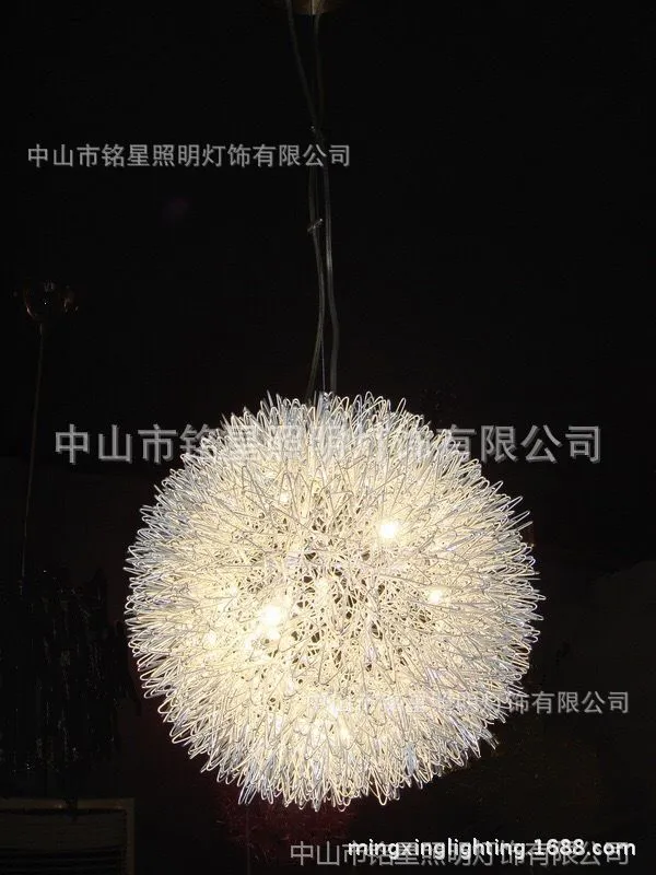 蒲公英AAAAA (1)