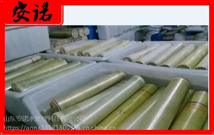 山东反渗透膜在线离线清洗，山东安诺水处理