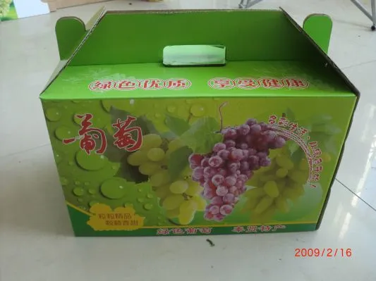 CIMG2934