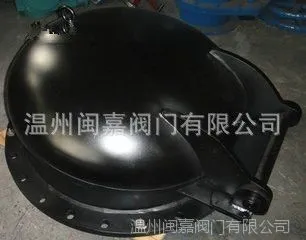 t01eeab803fa7f31105