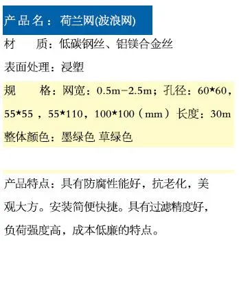 荷兰网介绍